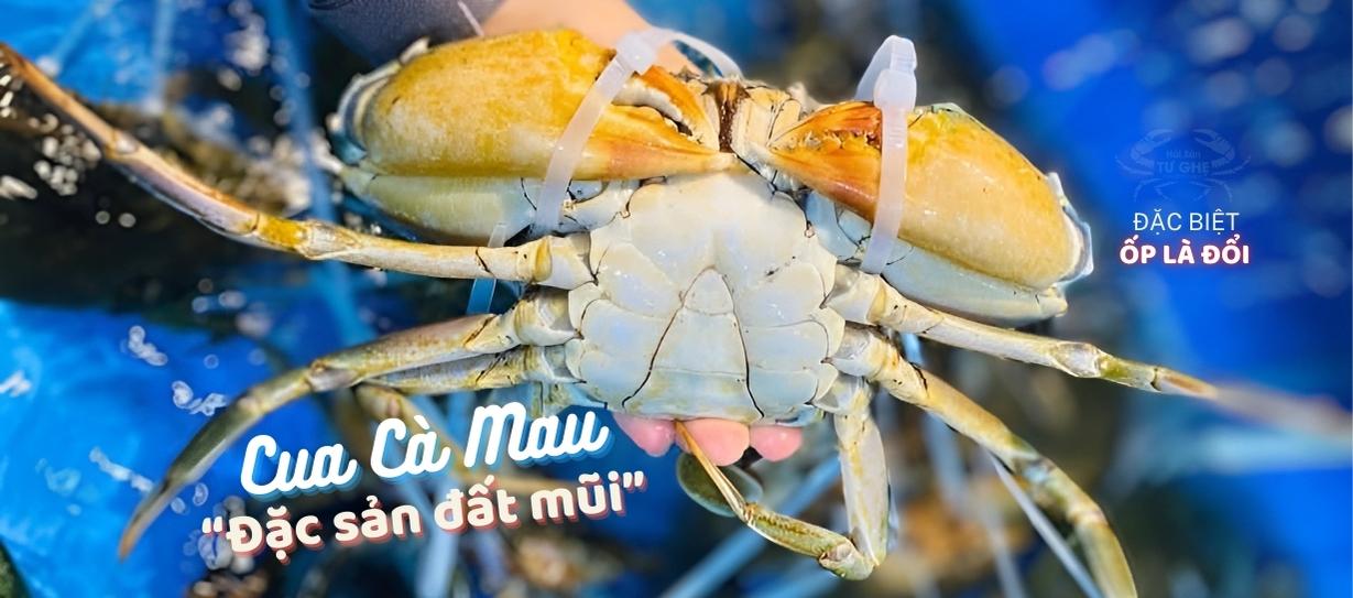 giá cua thịt và gạch son hôm nay